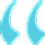 review icon